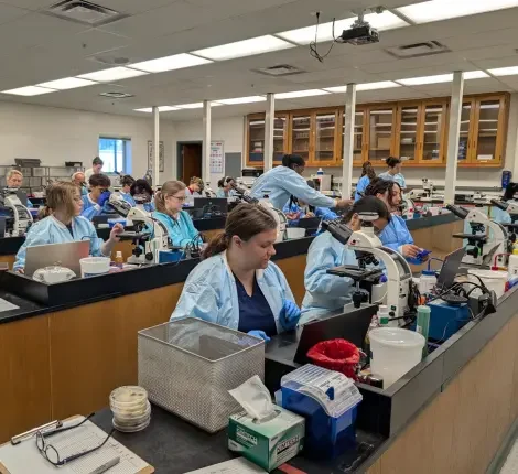 Microbiology students in lab