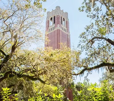 cards-alumni-tower tower with trees in the foreground